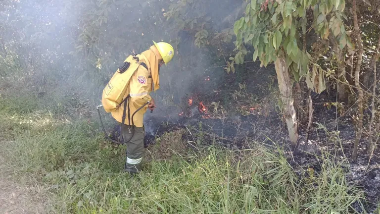 Alerta ambiental en Tolima: altas temperaturas y riesgo de incendios