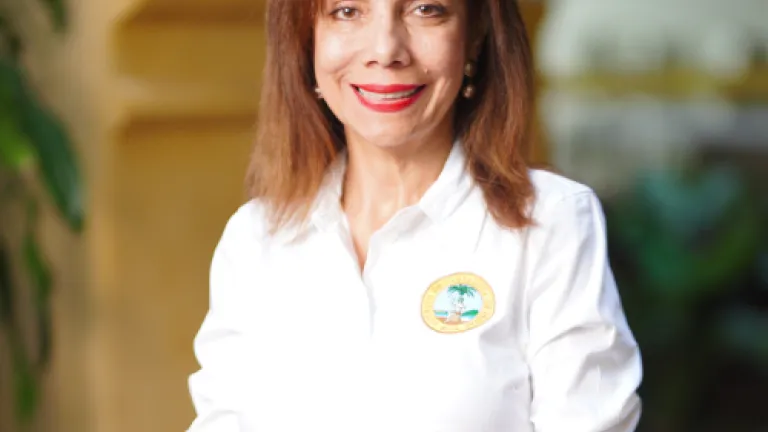 Presidencia de la república postula a Fanny Guerrero para llegar a la comisión de expertos de la Creg