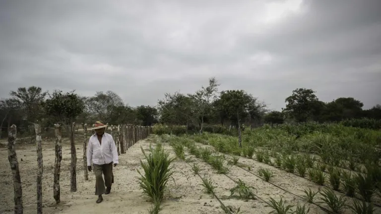 Alerta por llegada del fenómeno de El Niño