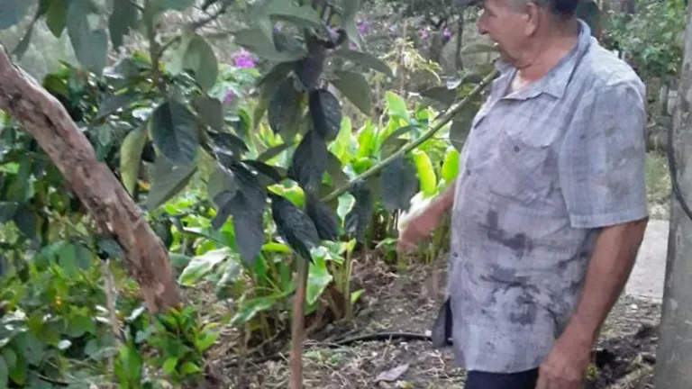 Biogestor: producir gas desde el estiércol | Ángel Llanos campesino Algeciras
