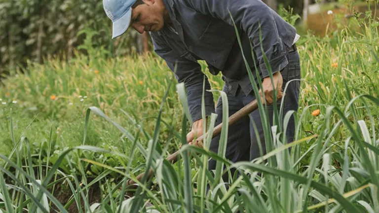Firmantes de paz exigen al Congreso aprobar el proyecto de ley ordinaria de la Jurisdicción Agraria