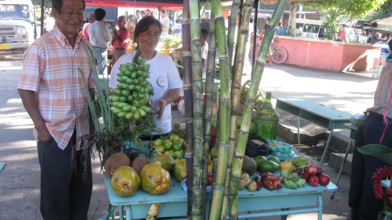 Encuentro departamental Cultural, Espiritual y Ambiental Alcides Jiménez | Puerto Caicedo, Putumayo