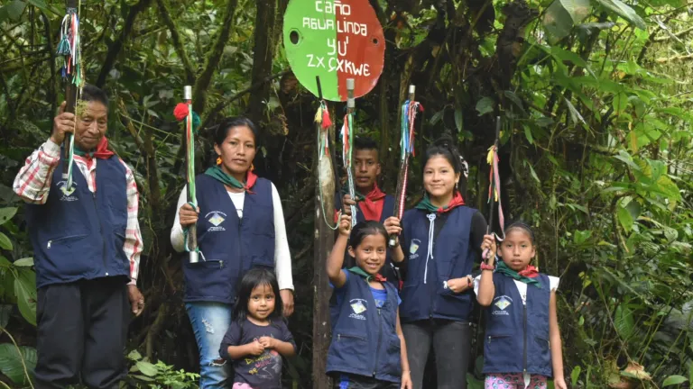 Mujeres indígenas como gobernadoras de los  resguardos en el Cauca