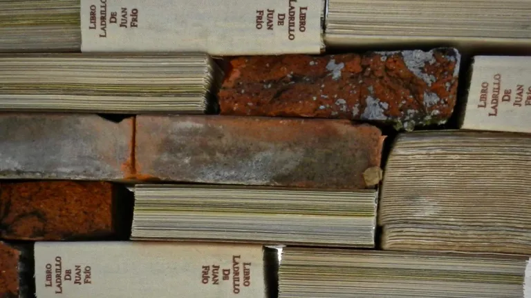El libro ladrillo de la Comisión de la Verdad: qué es y dónde está