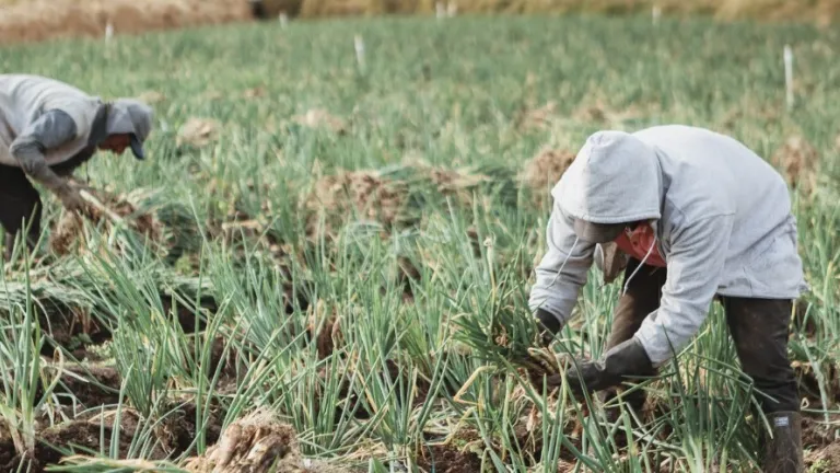 Ministerio de Agricultura ayudas financieras para el campo 2023 