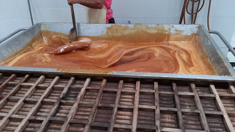 panela 