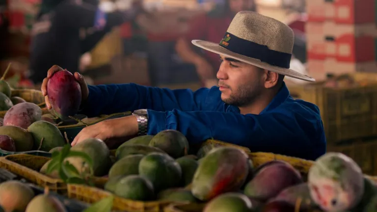 Villavicencio es entidad prestadora de servicios de extensión agropecuaria
