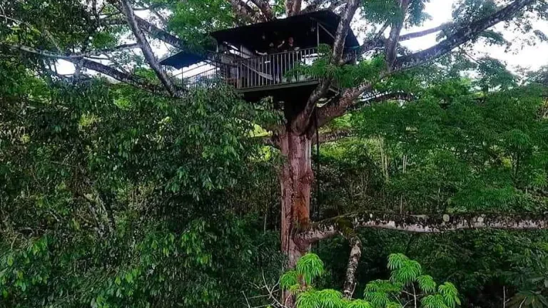 Paway, reserva ecoturística en Putumayo | Fauna y flora en la Amazonía 