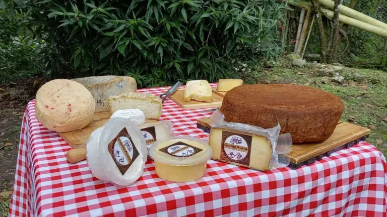 Queso al café en Quindío | Emprendimiento