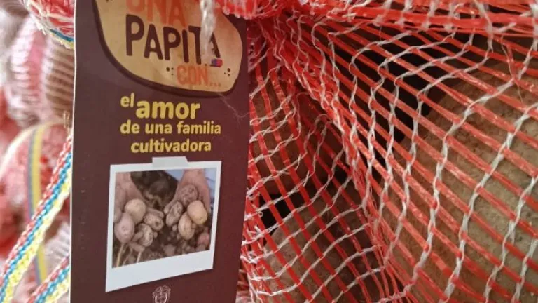Gobierno nacional crea programa de apoyo a los que cultivan papita 