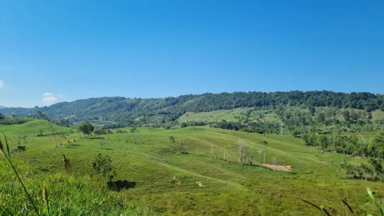 ANT entregará 40 mil hectáreas de tierras a familias campesinas 