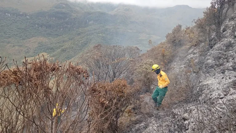 Parque Natural Los Nevados: ¿cómo prevenir incendios?