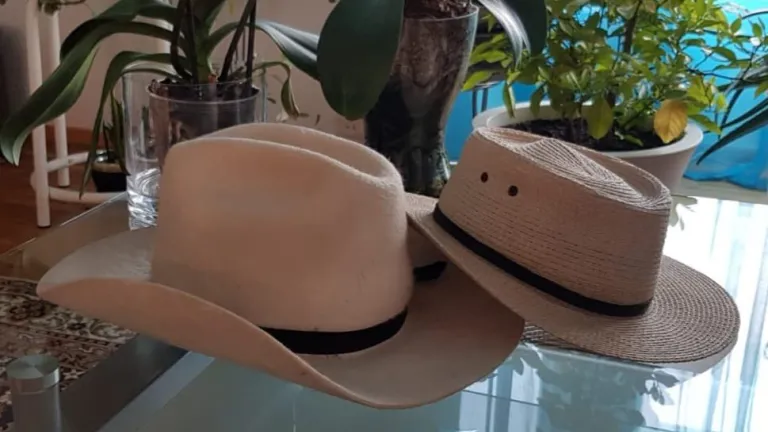 Sombrero Carlos Pizarro entregado a Gustavo Petro | M 19