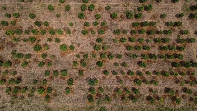 Ideam alerta por posible fenómeno de El Niño en Colombia