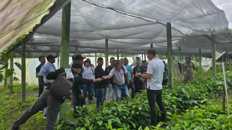 Caficultores del Alto Sinú se capacitan para mejorar la calidad del café en Córdoba