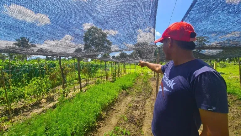 Consumo insuficiente de alimentos: departamentos de Colombia con más inseguridad alimentaria
