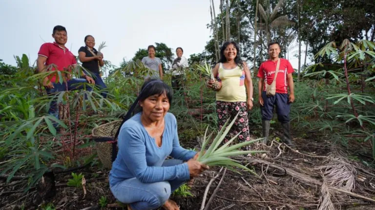Mujeres en la Amazonía: emprendimiento y conocimiento ancestral
