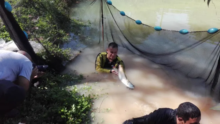 Pescador sosteniendo Arawana 