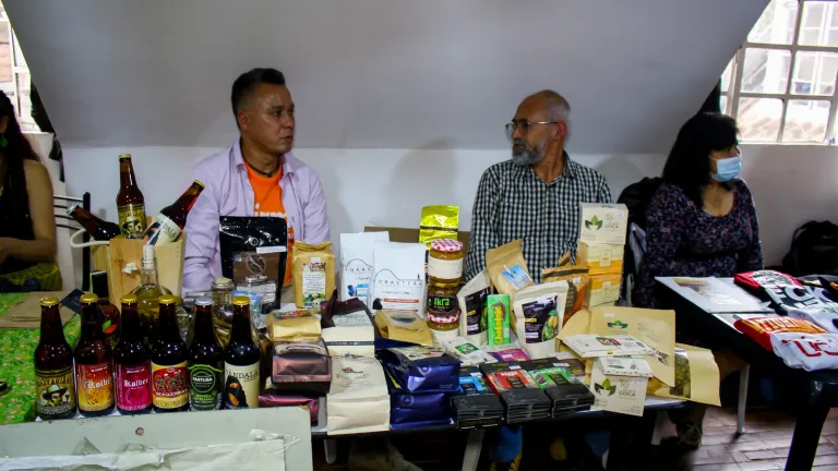 Día internacional de la paz: proyectos e historias