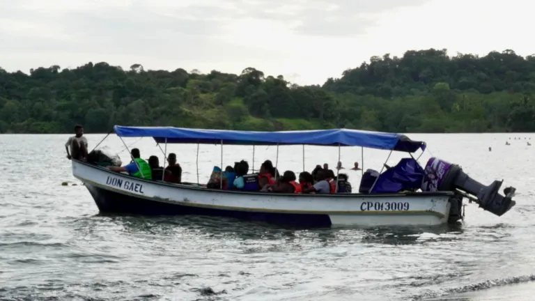 Temporada de avistamiento de ballenas en Buenaventura 2025 
