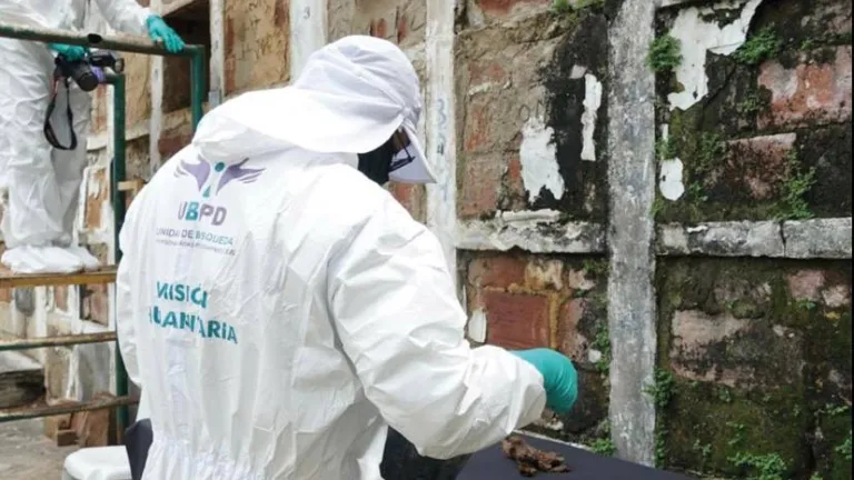 Bucaramanga: Fueron encontrados 11 de los 18 cuerpos de la Operación Berlín