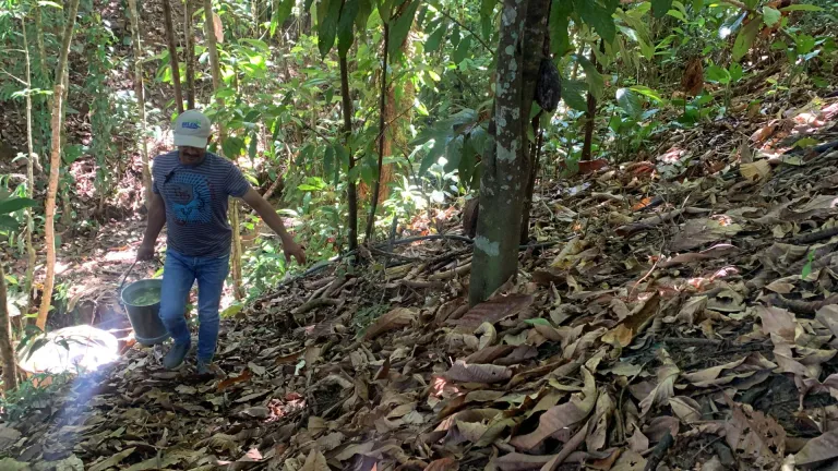 Agua potable: acceso en los municipios PDET en Colombia 