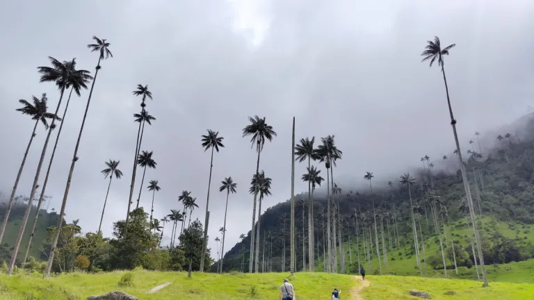 Cambio del escudo del Quindío | Escudo antes y ahora