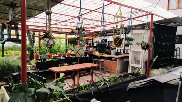 Huerta Santa Elena, una apuesta por la agricultura urbana  