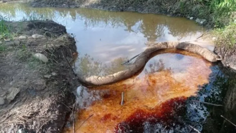 Derrame de crudo en fuentes hídricas 