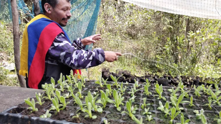 El vivero de frailejones en Monguí, Boyacá | Ernesto Pérez