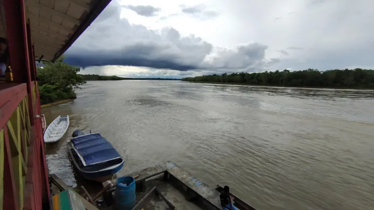 Contaminación en el río Atrato: reducción de peces