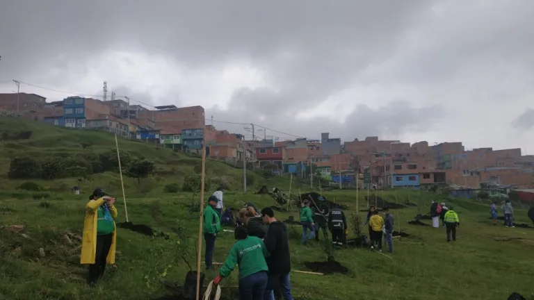 Dónde queda el Jardín Botánico Real, sur de Bogotá