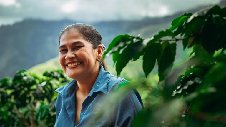Mujeres campesinas y cafeteras en Chaparral, Tolima