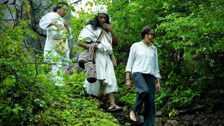 Pueblos indígenas de la Sierra Nevada de Santa Marta participaran en el lanzamiento del concepto: Paz con la Naturaleza en la COP16