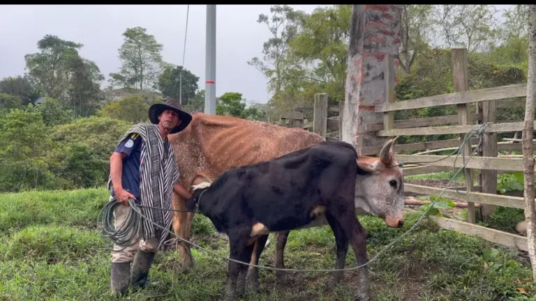 Programa Valle Agro