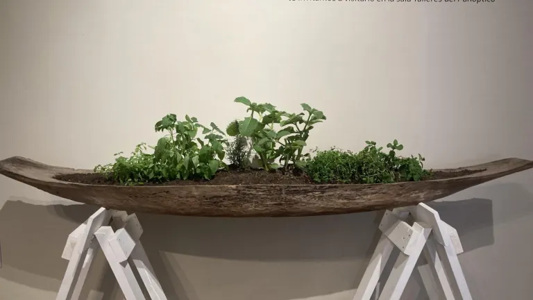 Museo gastronómico del Chocó: un espacio cultural que rescata la identidad afrocolombiana