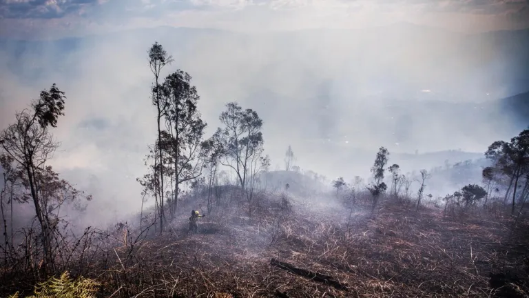 Incendio forestal en cerro Quitasol de Bello consume 40 hectáreas