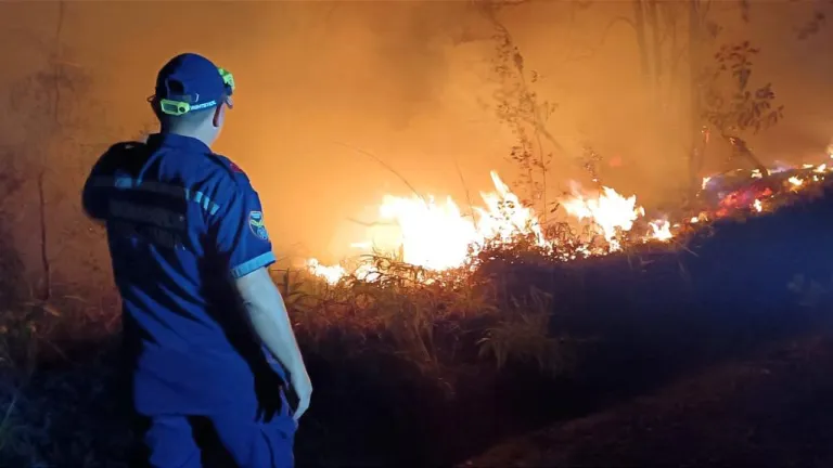 Incendios forestales Huila Hoy: municipios afectados 
