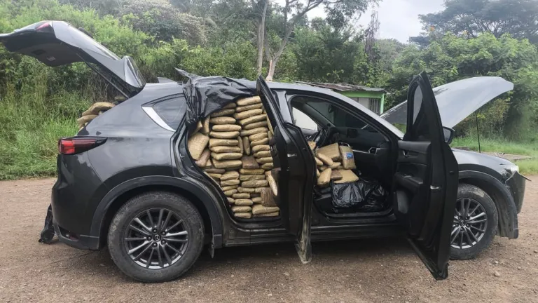 Incautan 541 kilos de marihuana en la Plata, Huila