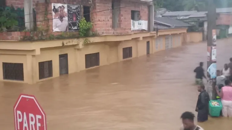Alerta en Chocó por taponamiento del río Buchadó, palizadas y derrumbes generan el riesgo de una nueva avalancha