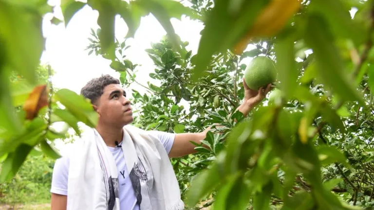 Huerta autosostenible en Atlántico: qué es y cómo funciona
