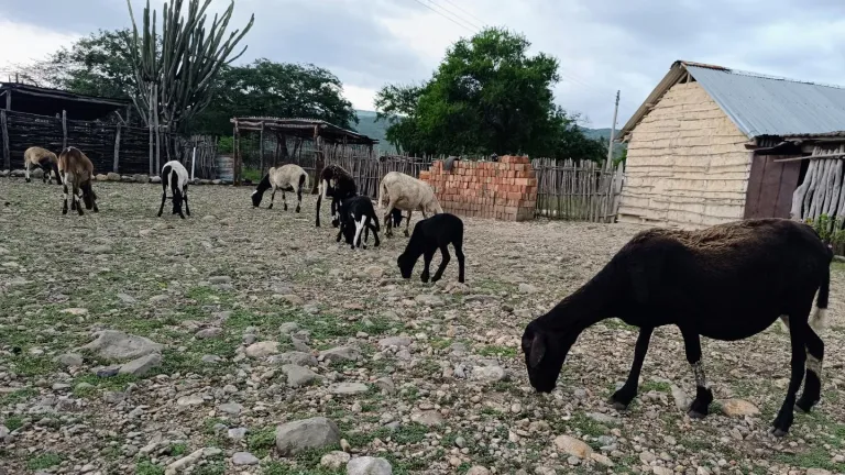 Juyá: el Dios de la lluvia para los Wayuu