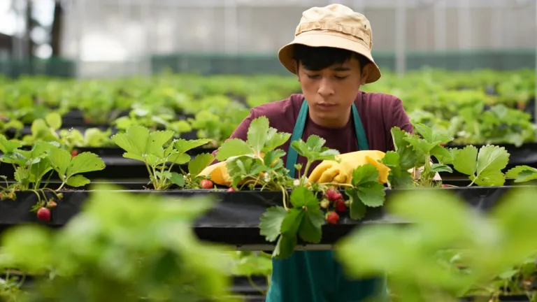 Gobierno brinda apoyo enonómico a jóvenes del Huila para proyectos rurales
