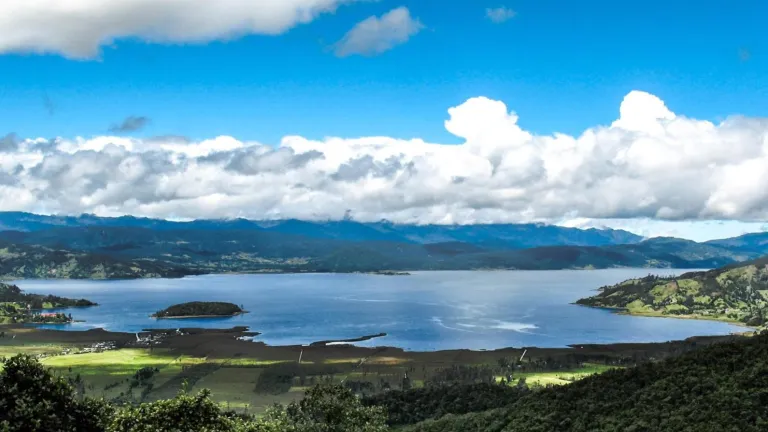 "S.O.S. en La Laguna de La Cocha: Investigadores estudian la causa de la muerte de la totora"