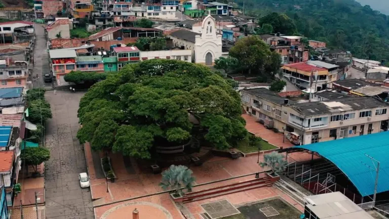 Masacre en Santander: cuatro miembros de una familia fueron asesinados