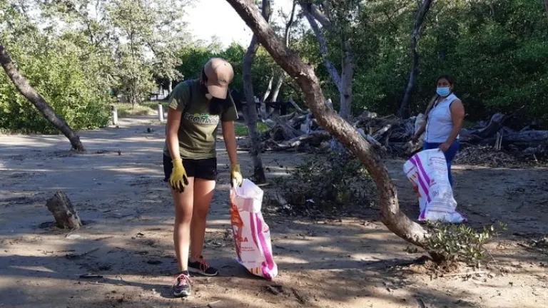 Ecología emocional: protección y conservación de manglares en el Atlántico