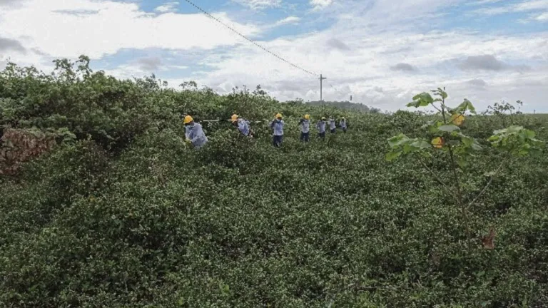 Pacífico nariñense