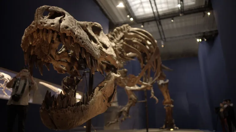 El reinado de los dinosaurios acabó en la primavera