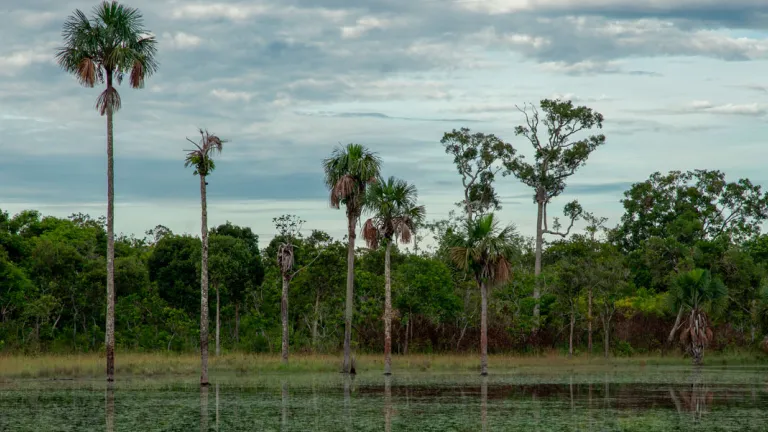 Serranía de Manacacías fue declarada como Parque Nacional Natural 