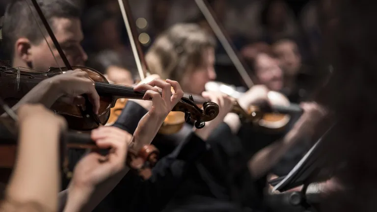Abren convocatoria en Manizales para el Festival Nacional de Música Andina Colombiana 2025
